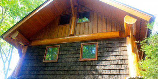 A bark-sided house with a window on the side.